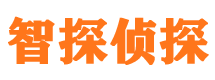 望江市私人侦探